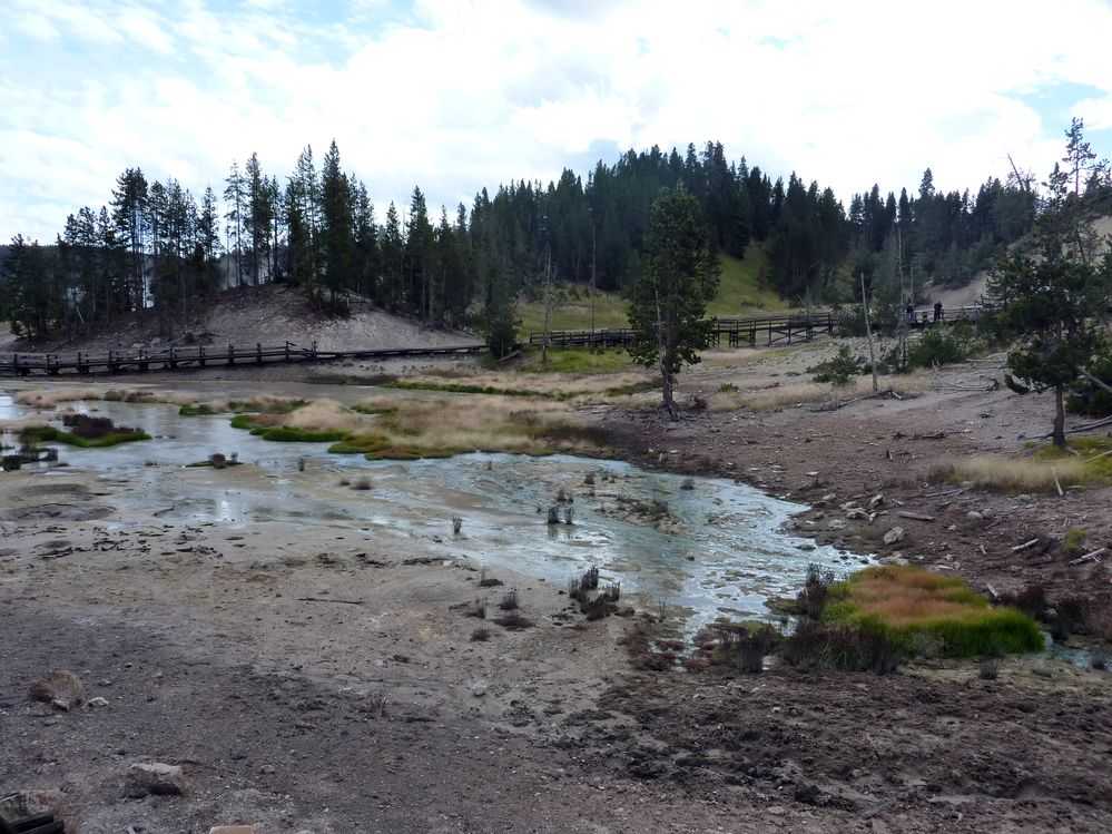 Yellowstone Mud Volcano Area (24).JPG